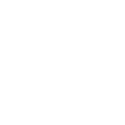 erfahrung-icon